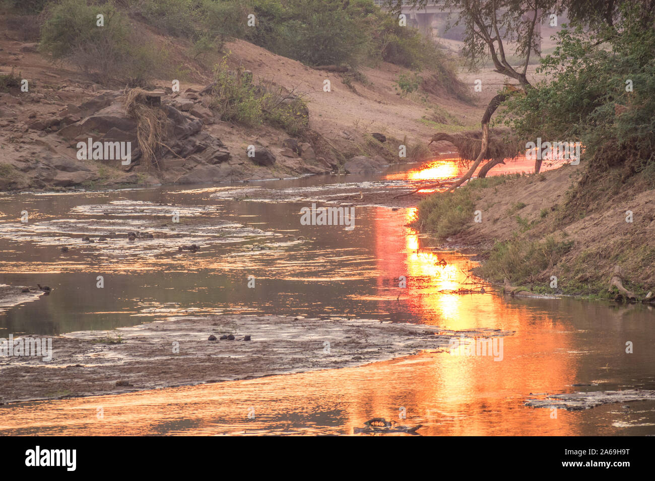 Sunrise over the Luvuvhu river at Pafuri in the Kruger National Park in South Africa image with copy space for background use Stock Photo