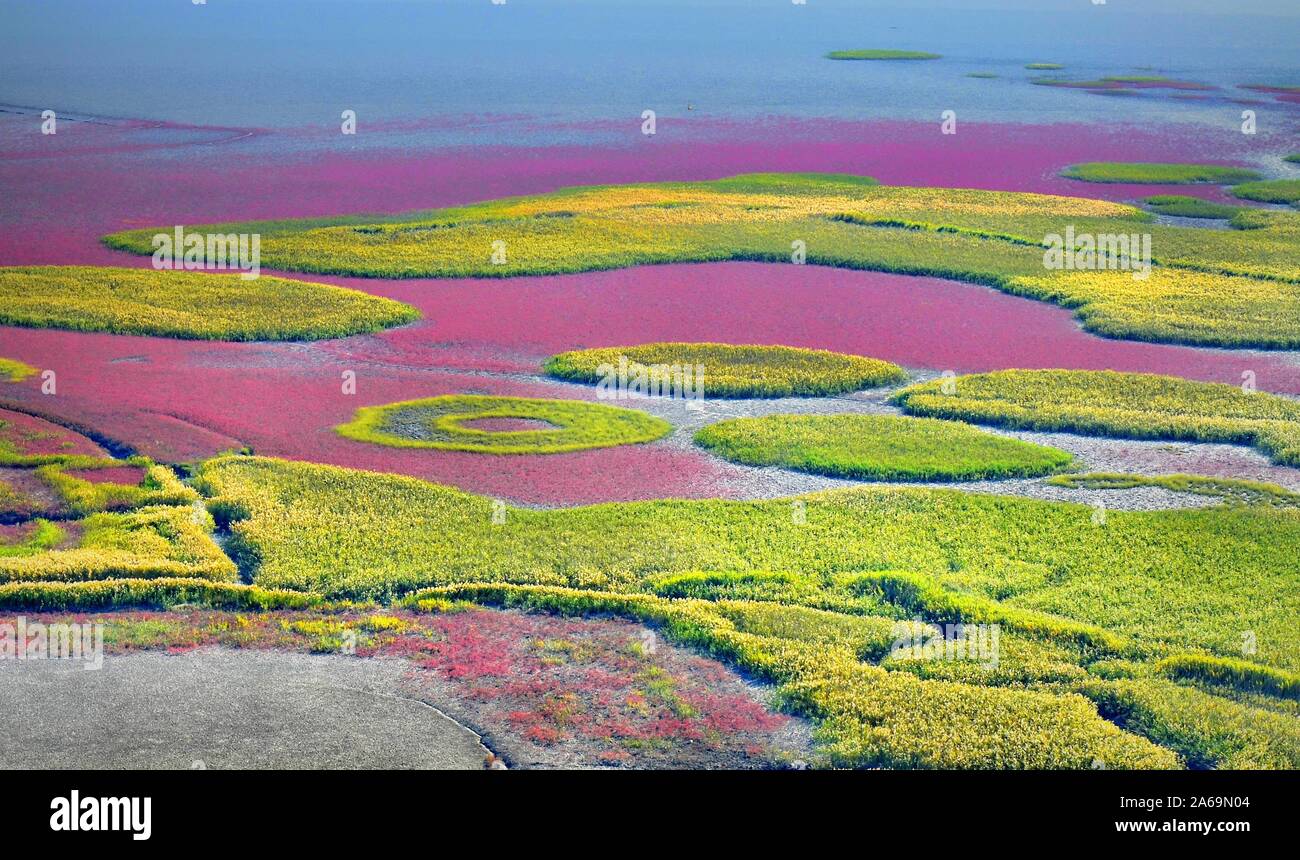 Suncheon bay wetland reserve, South Korea Stock Photo
