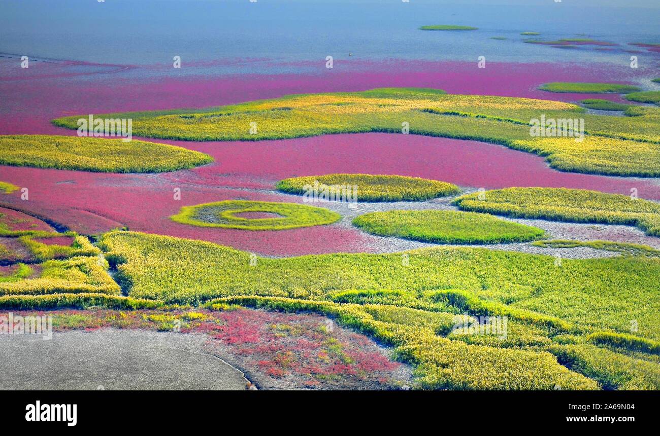 Suncheon Bay Korea High Resolution Stock Photography And Images Alamy Suncheon Bay Korea High Resolution Stock Photography And Images Alamy