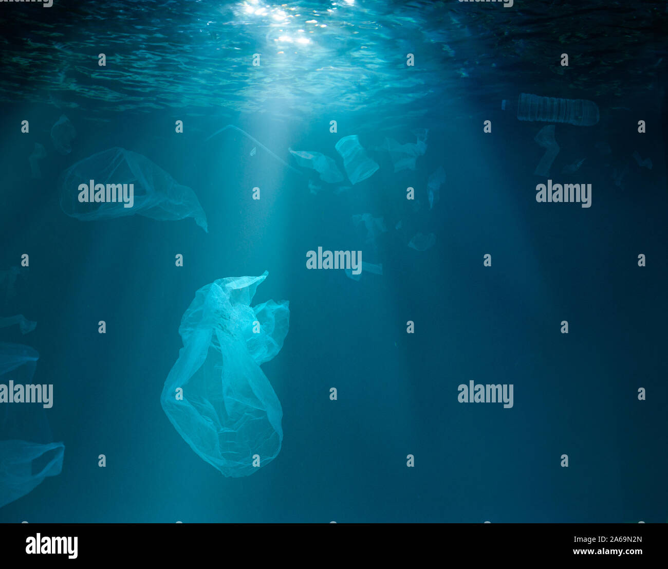 My Image 46