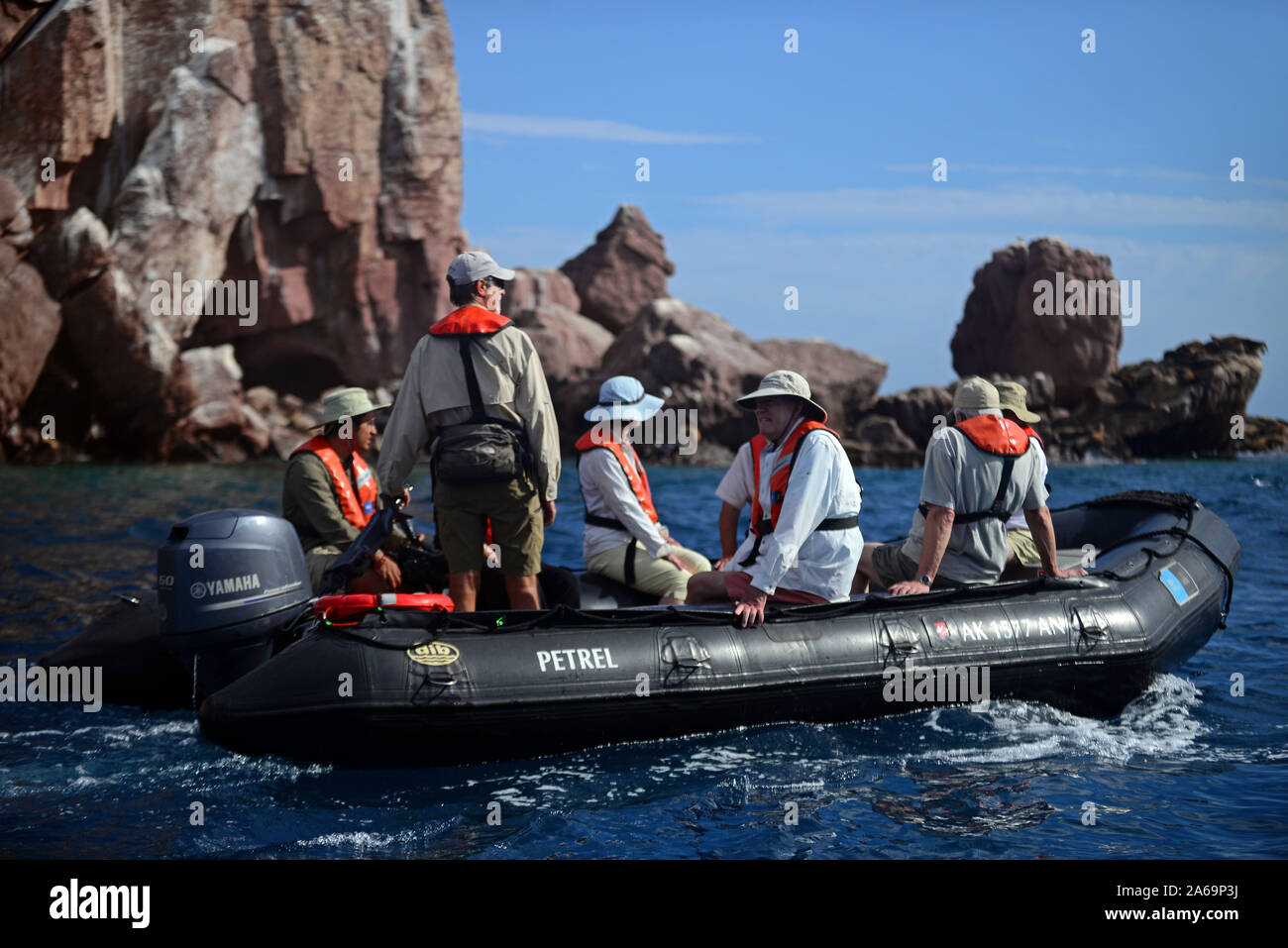 Exploring the Sea of Cortez on a zodiac with Lindblad Expeditions, Baja California, Mexico Stock Photo