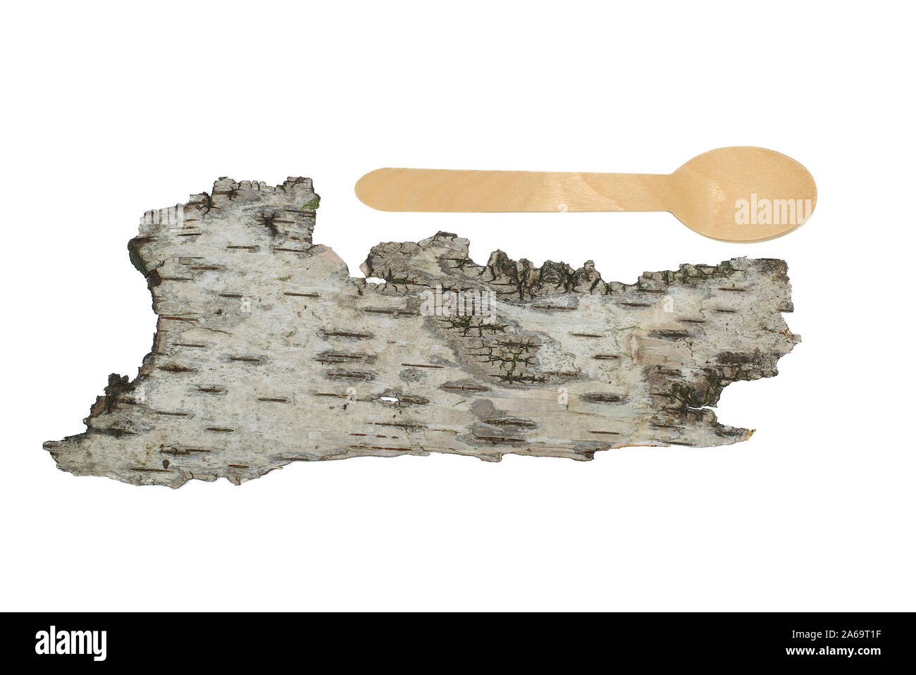 Isolated piece of wood and tree bark with wooden eating spoon, above with copy space in a protect nature conceptual image Stock Photo