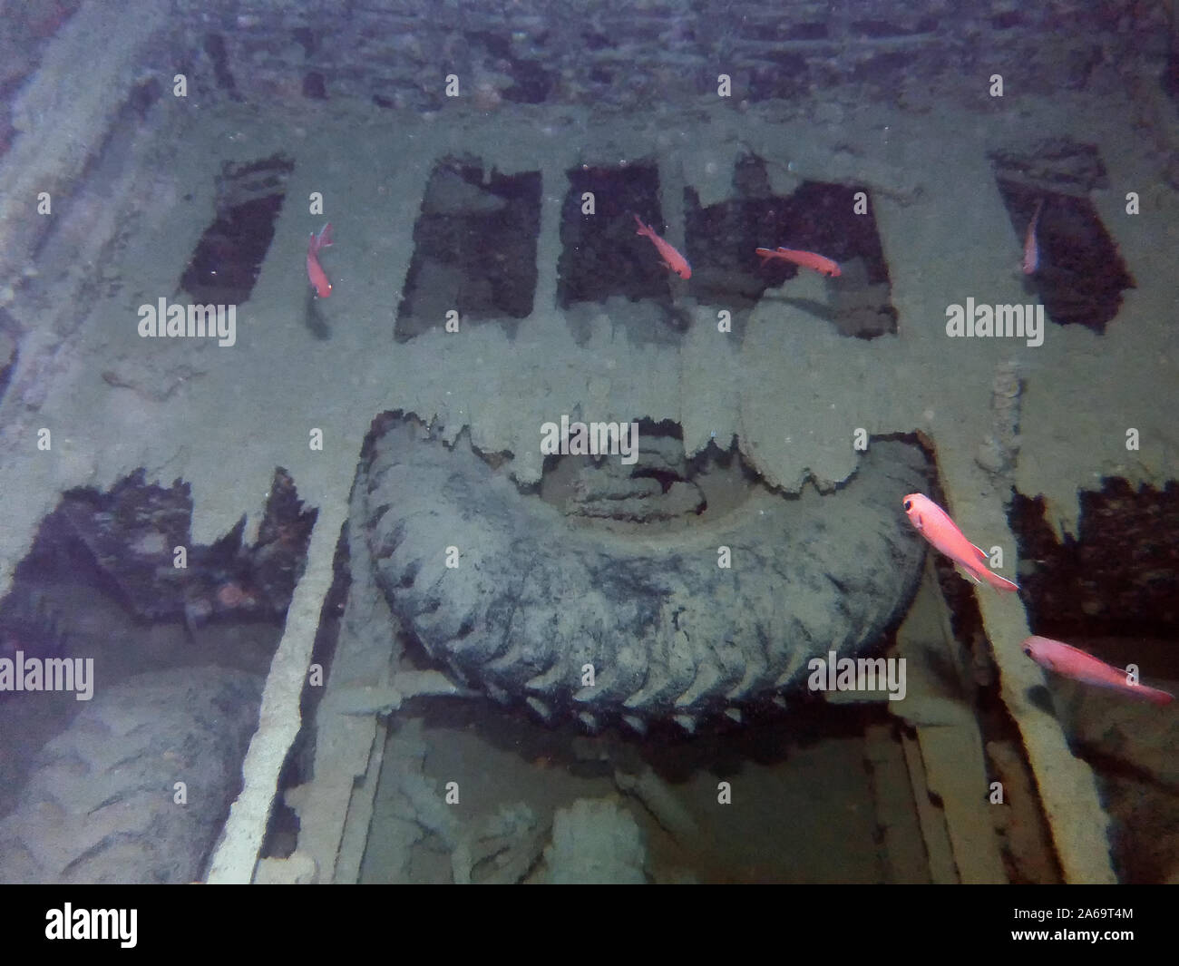 The wreck of the SS Thistlegorm in the Red Sea, Egypt Stock Photo - Alamy