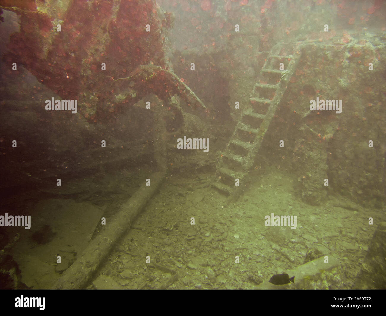 The wreck of the SS Thistlegorm in the Red Sea, Egypt Stock Photo - Alamy