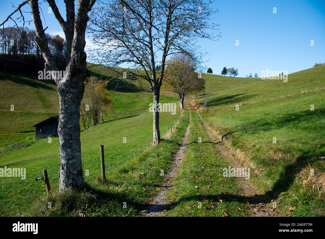 path on the Schauinsland mountain in the black forest in germany Stock Photo