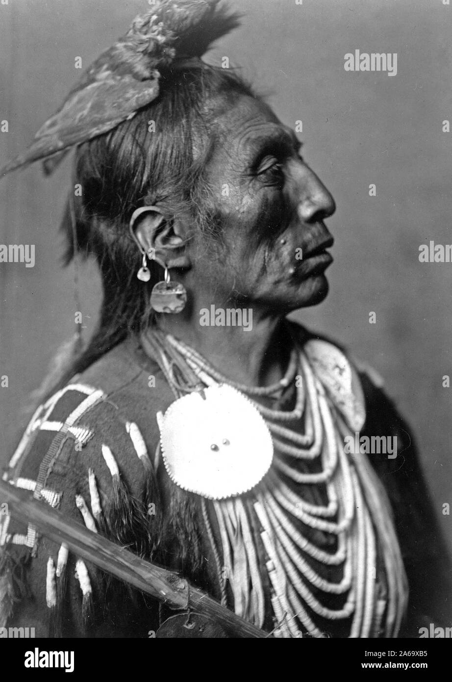 Edward S. Curtis Native American Indians - Medicine Crow, Crow Indian ...