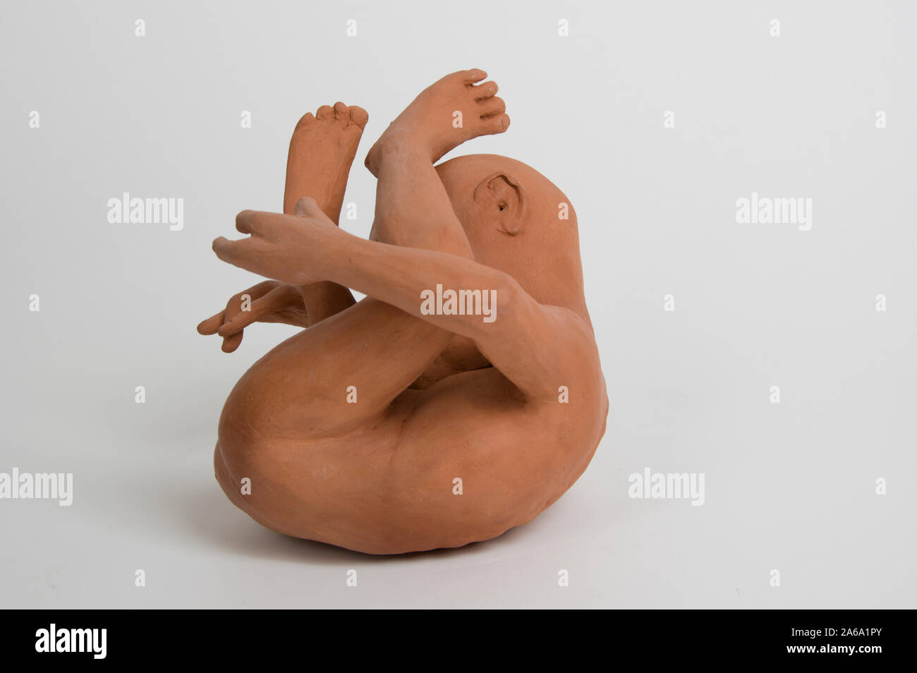 Clay figure of a newborn baby curled up in a fetal position Stock Photo