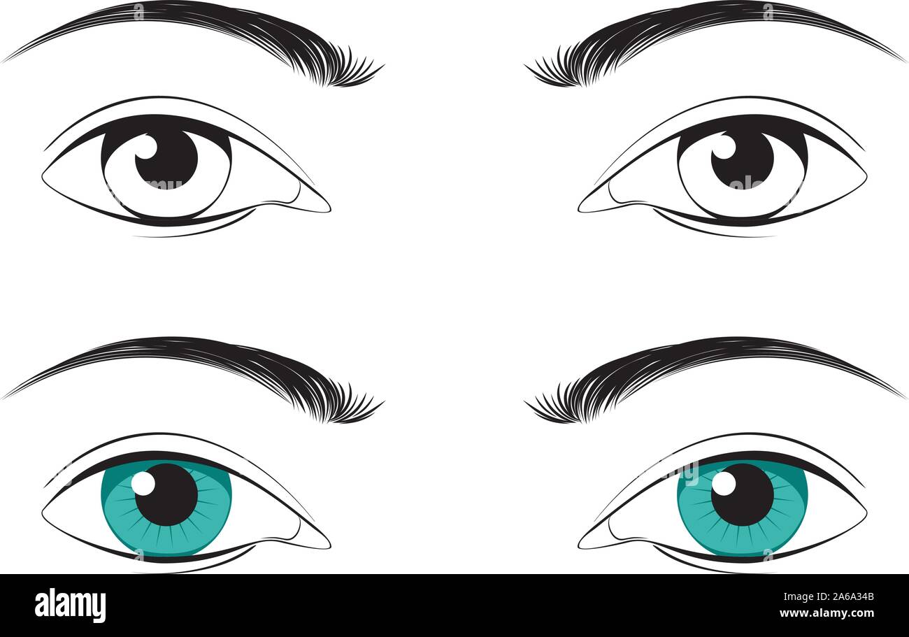 Eyelid Vector Vectors Stock Photos & Eyelid Vector Vectors Stock Images