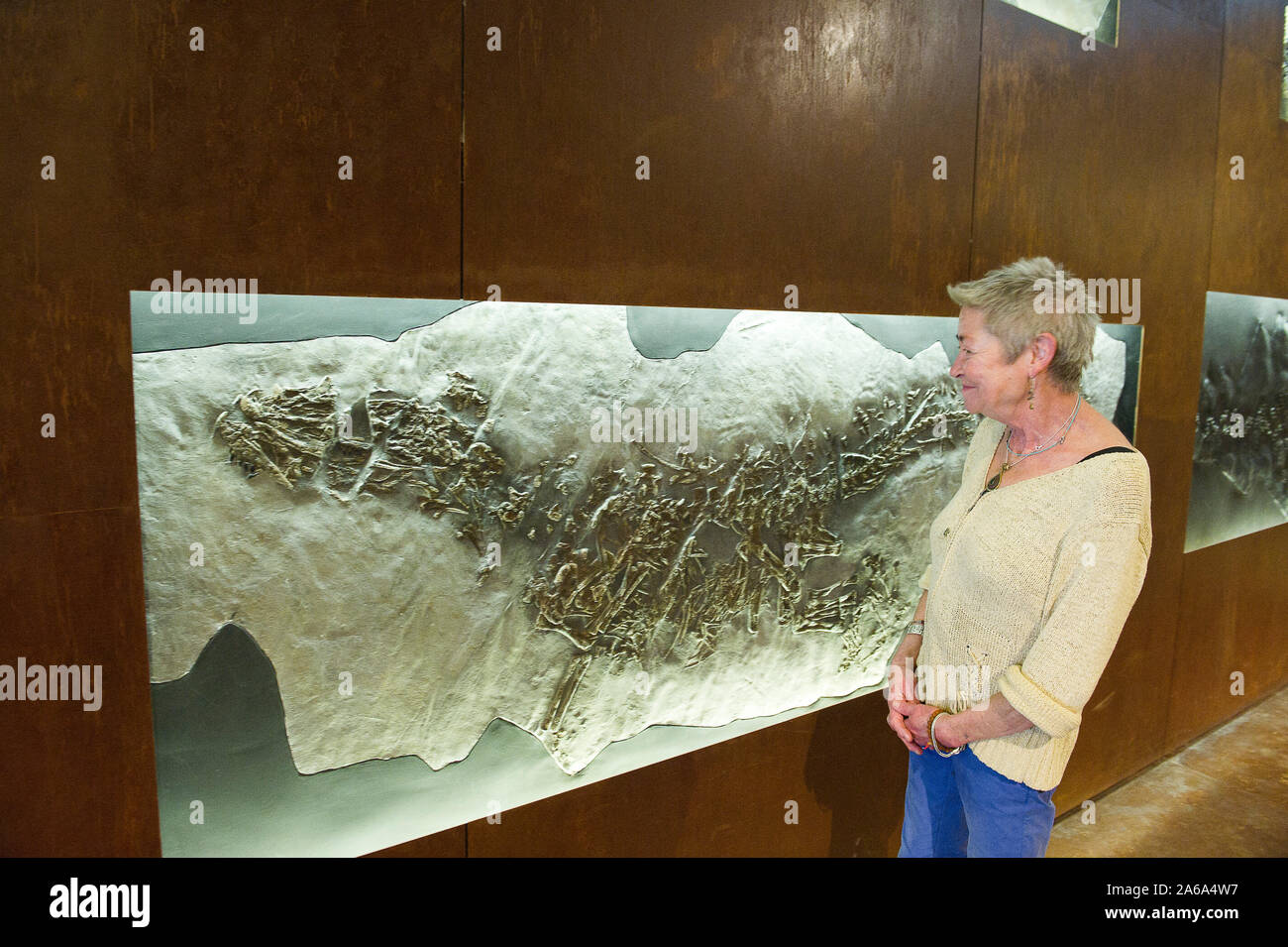 Fossil museum in Meride, UNESCO World Heritage Site Monte San