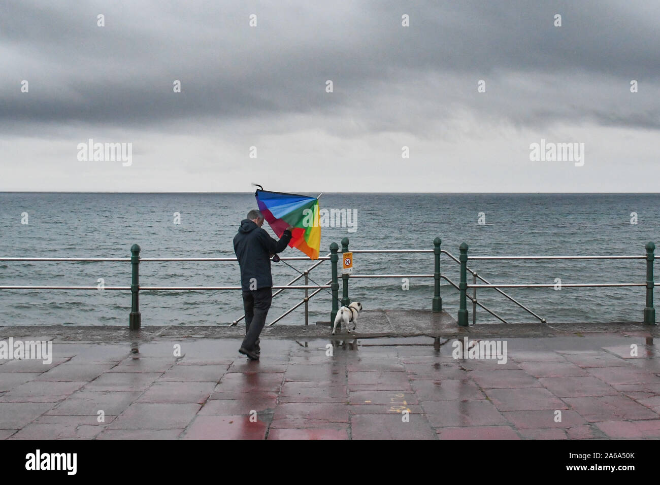 umbrella for rain and wind