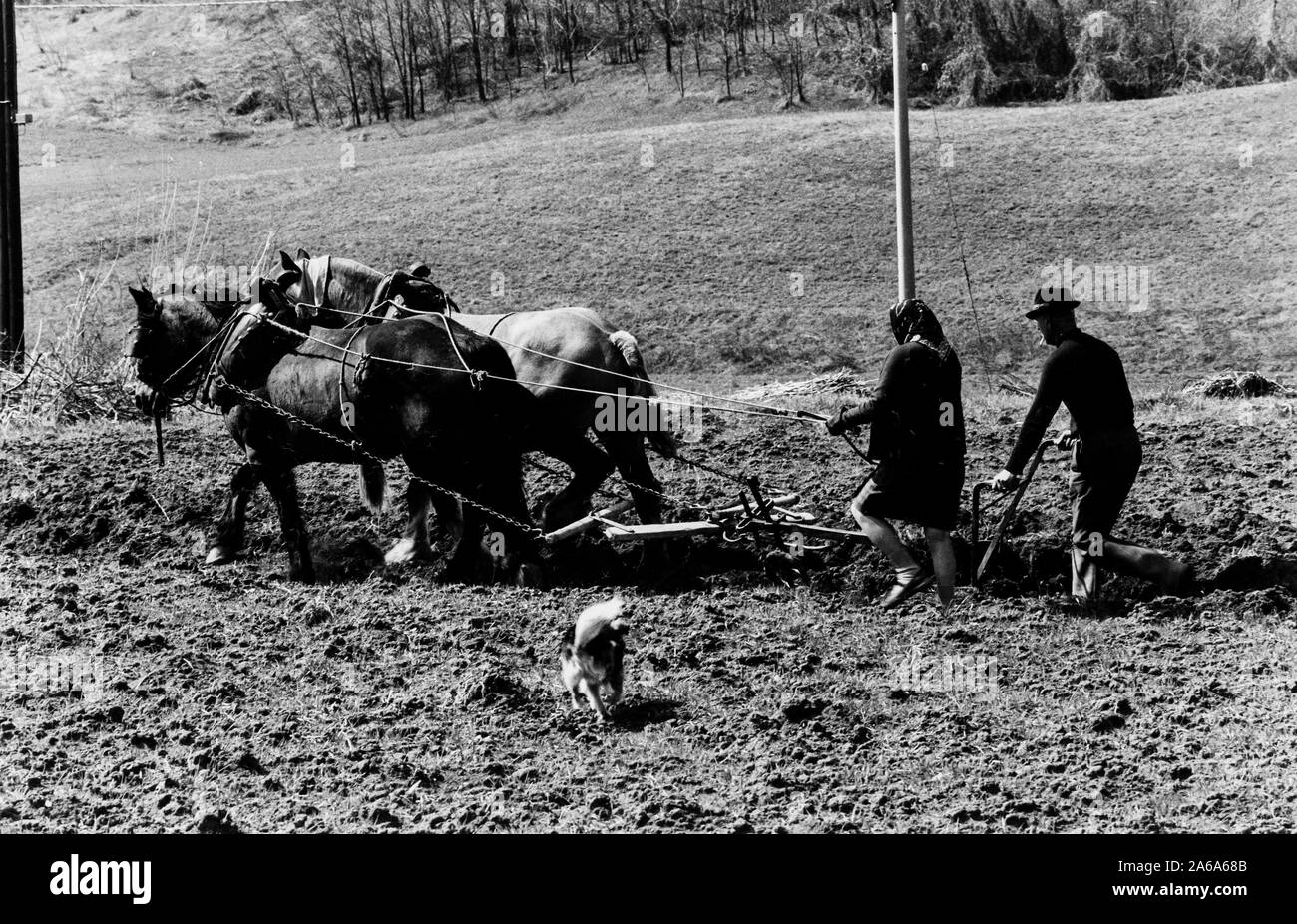 Ploughing field Black and White Stock Photos & Images - Alamy