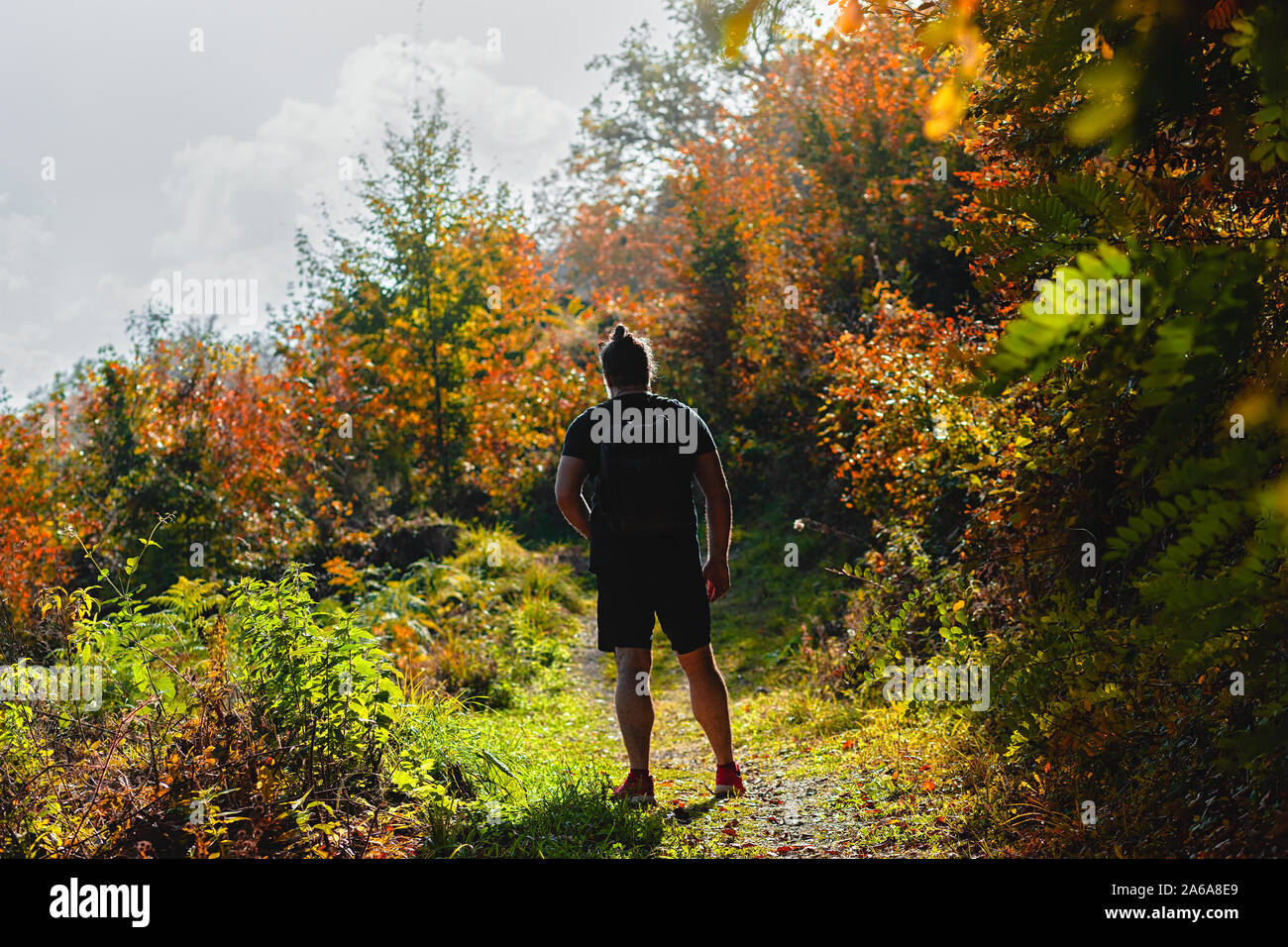 Man standing on a hiking trail with backpack on his back, surrounded ...