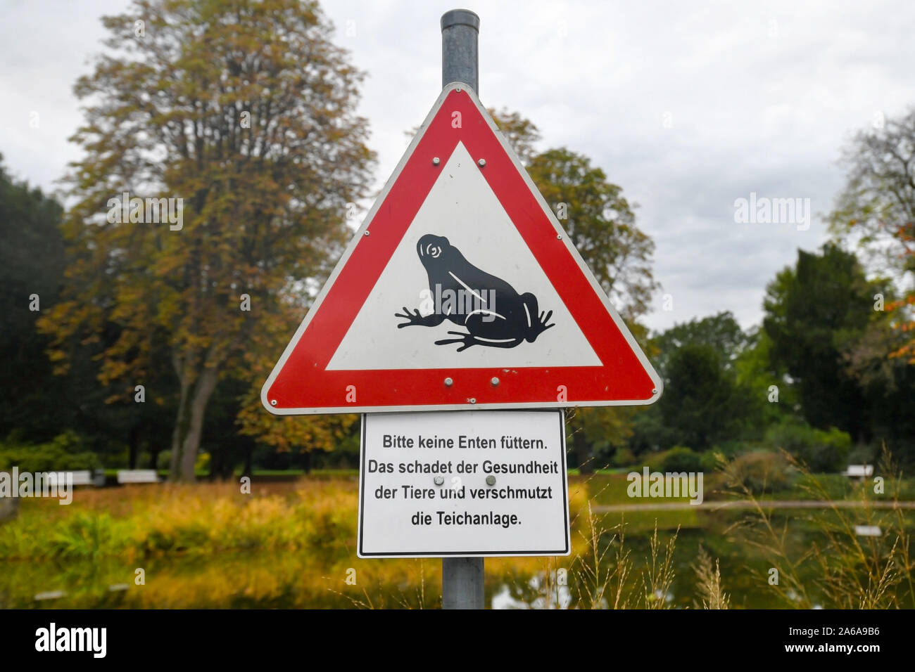 Red triangular street sign with frog meaning 'amphibian migratio' and sign warning about not feeding ducks as it harms them in German Stock Photo