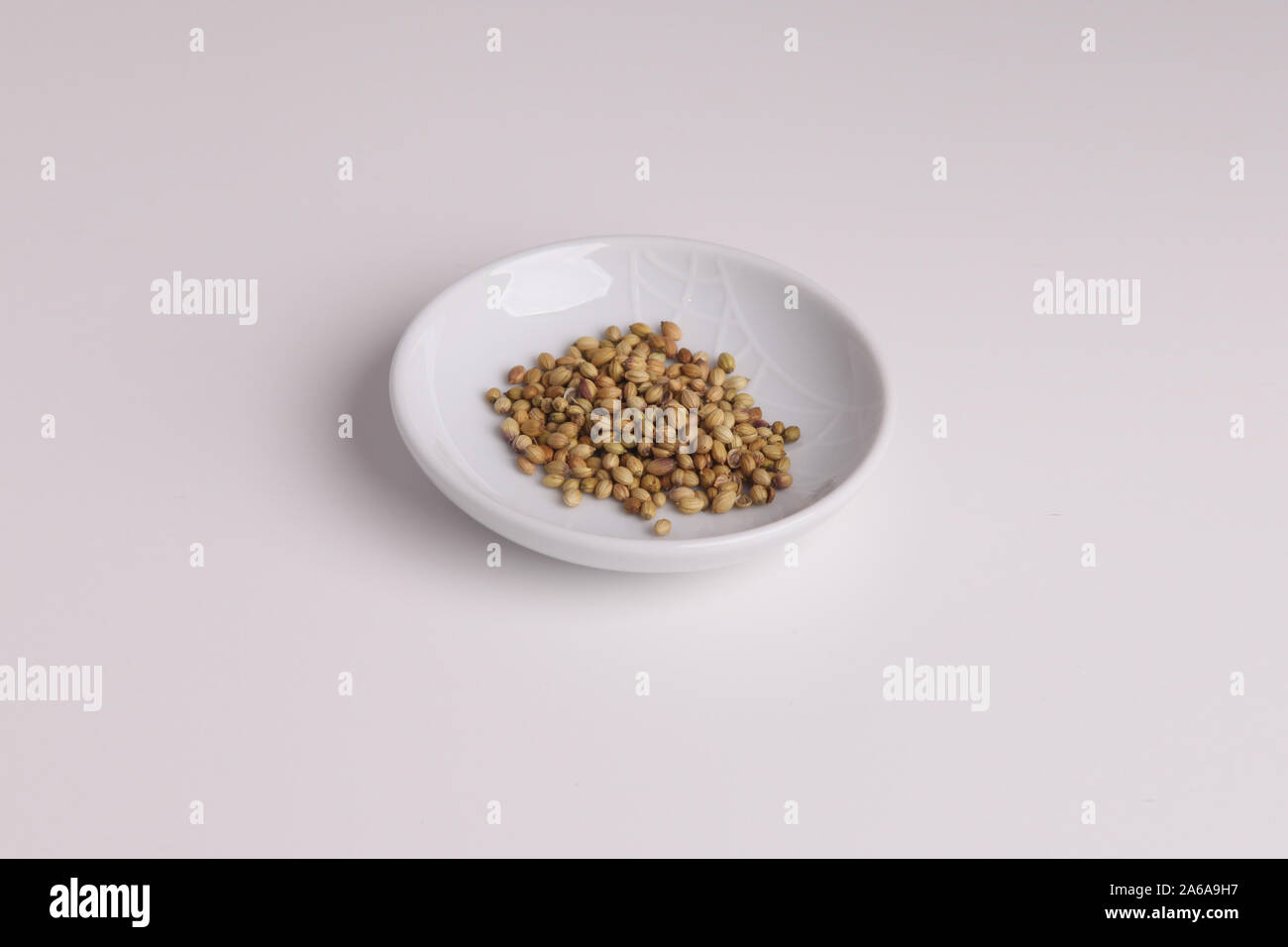 Coriander seeds in a white dish, cooking ingredients, isolated on white background with copy space Stock Photo