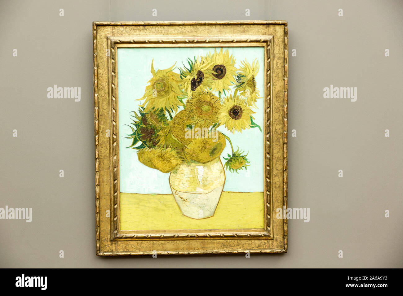 Sunflower by Van Gogh n Neue Pinakothek Stock Photo