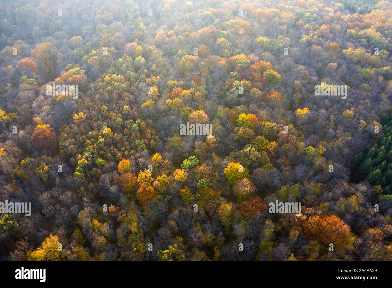 Flying above beautiful fall colors hi-res stock photography and images ...