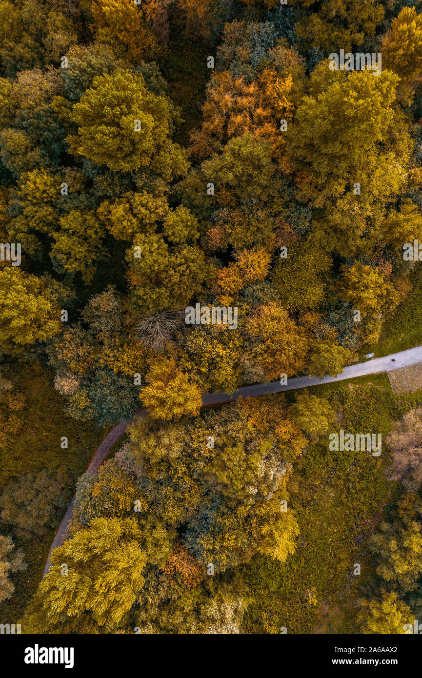 Aerial view forest hi-res stock photography and images - Alamy