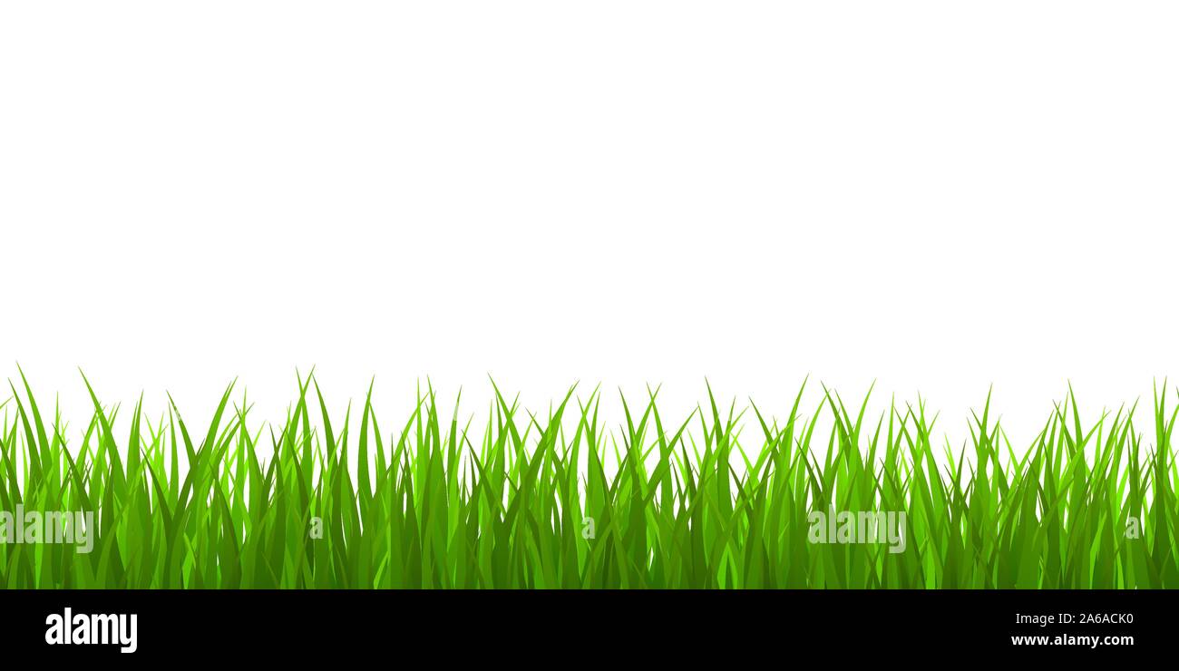 Fresh green grass border. vector illustrastion Stock Vector