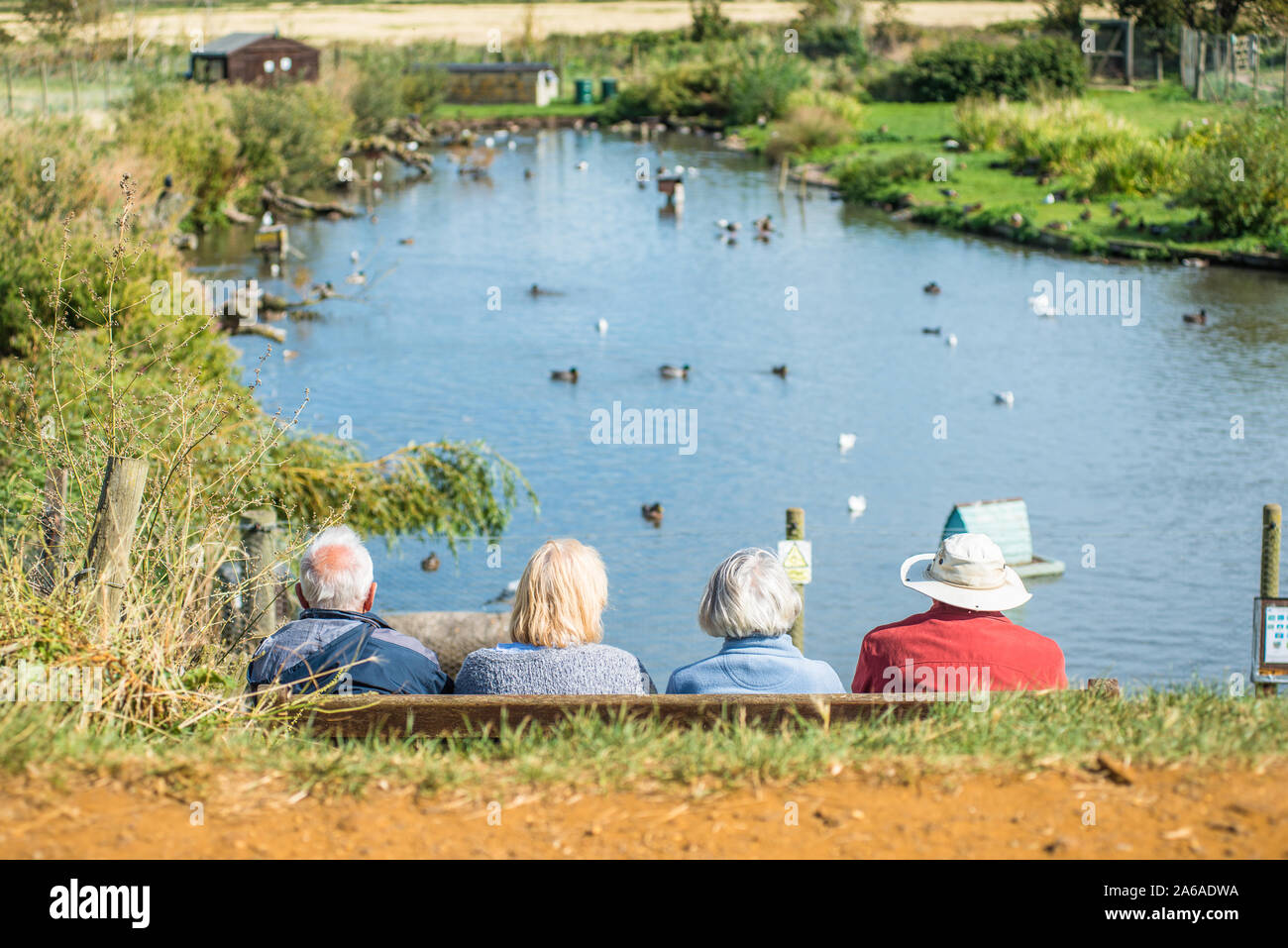 Elderly people enjoying the tranquility of Blakeney Conservation Duck Pond near the North Norfolk coast in East Anglia, England, UK. Stock Photo