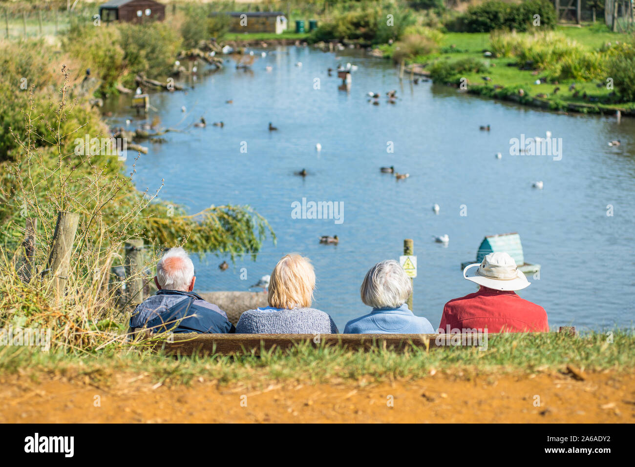Elderly people enjoying the tranquility of Blakeney Conservation Duck Pond near the North Norfolk coast in East Anglia, England, UK. Stock Photo