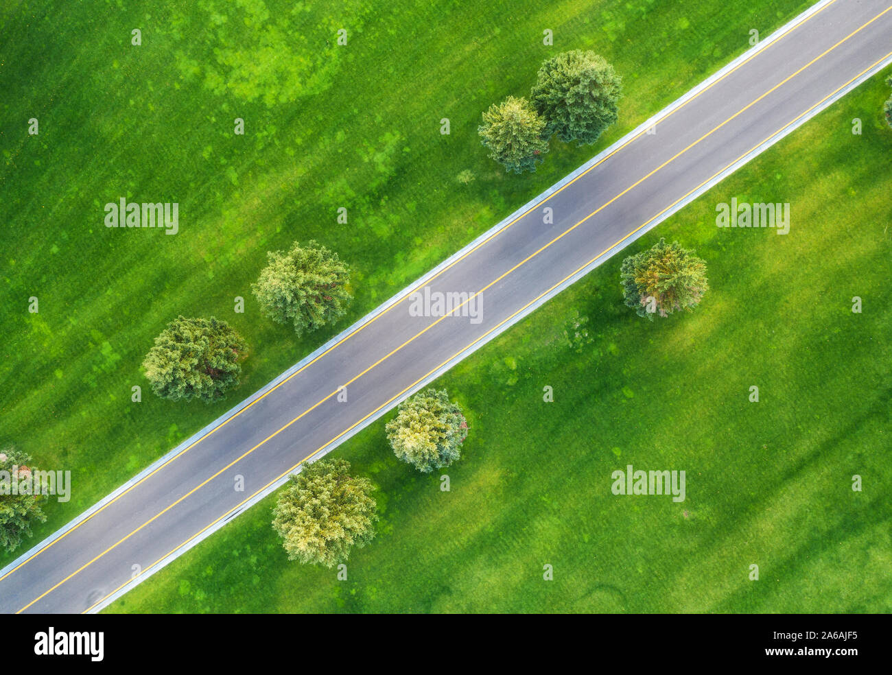 Aerial view of road through beautiful green field at sunset Stock Photo
