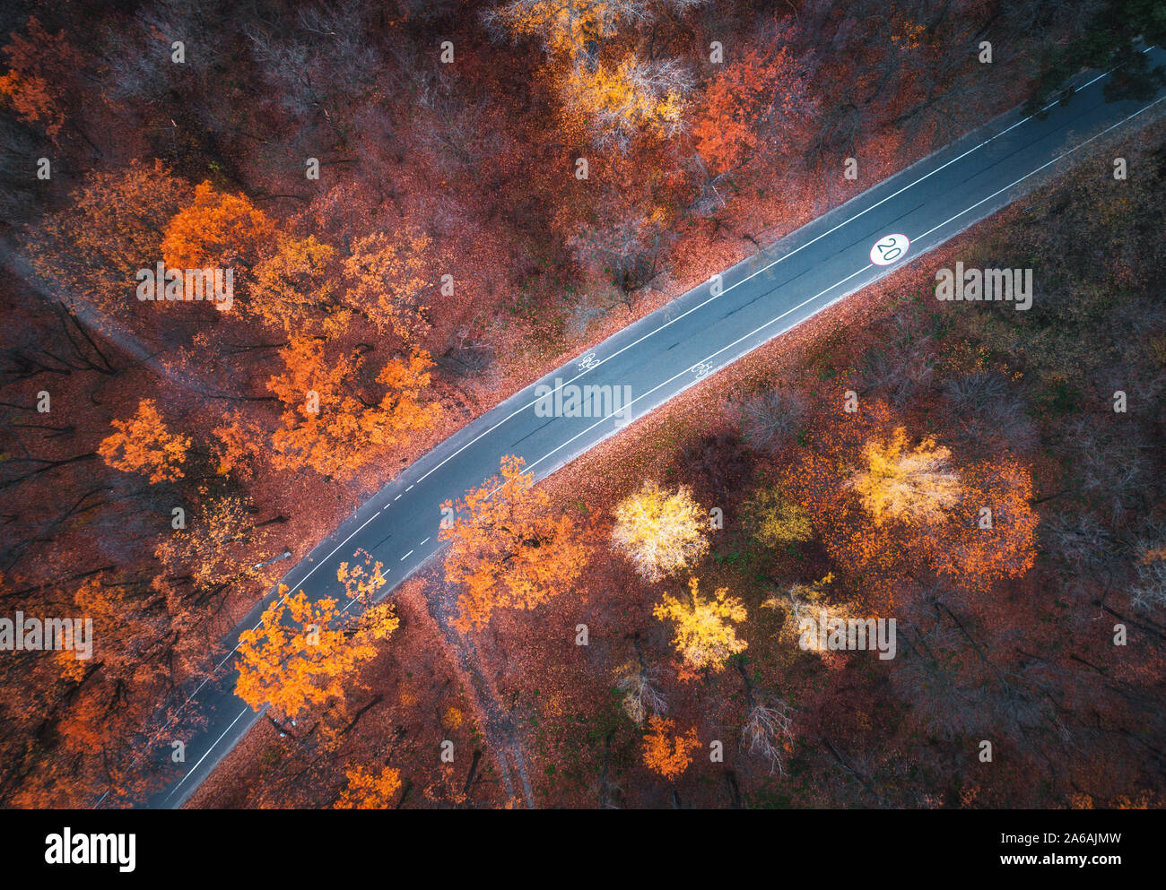 Aerial view of road in beautiful autumn forest at sunset Stock Photo ...