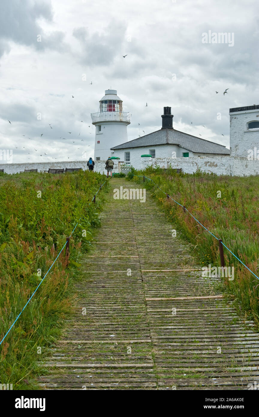 Farne Lighthouse. Inner Farne island, Northumberland, UK Stock Photo - Alamy