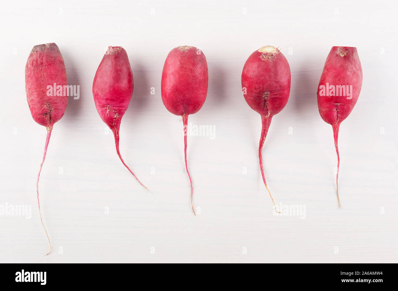 Imperfect Organic homegrown long radishes on white background.  Weird-looking fruits and vegetables. Imperfect produce help fight food waste .Flat lay. Stock Photo