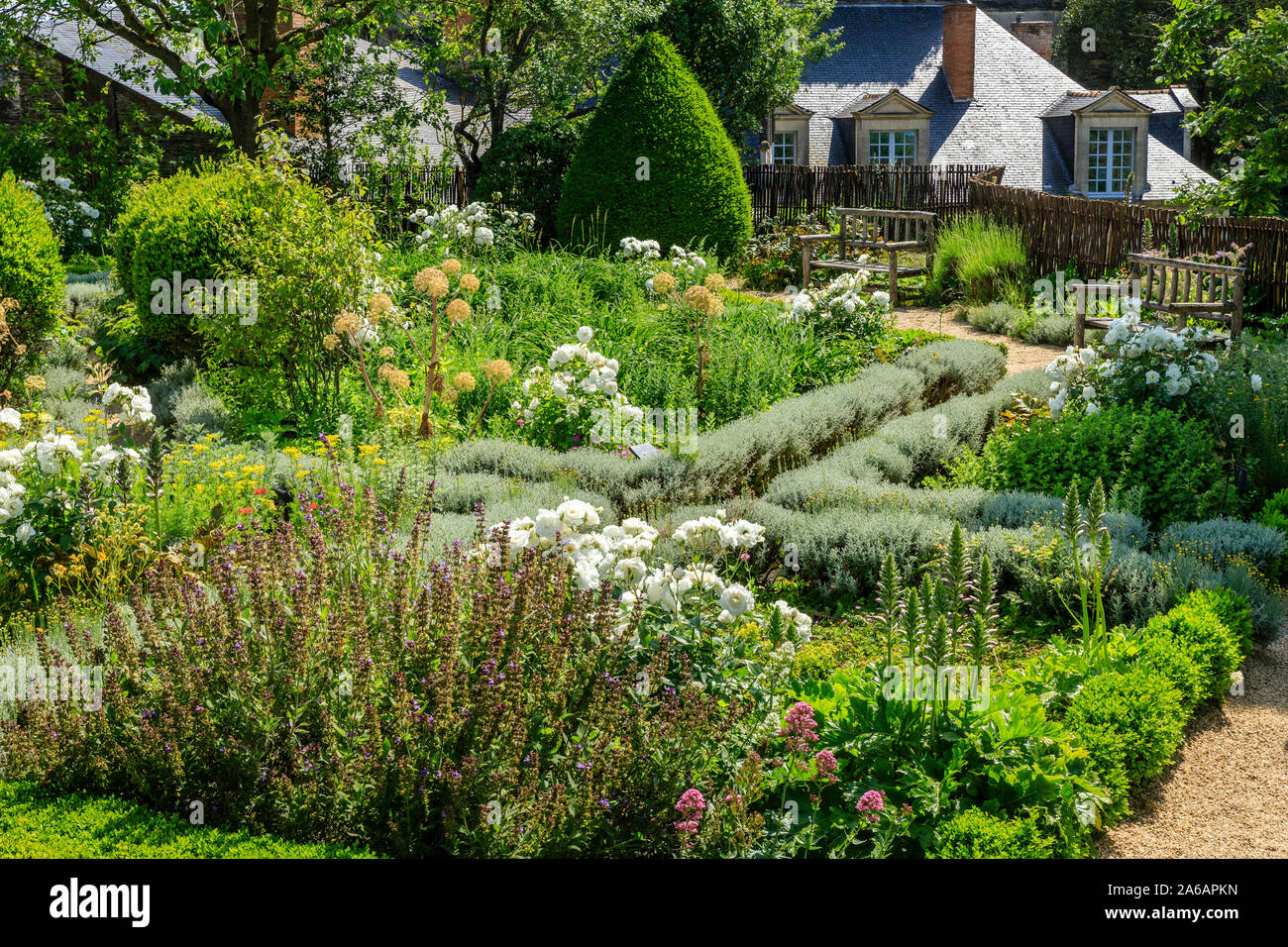 France, Maine et Loire, Angers, Chateau d’Angers, Angers castle, on the ramparts, the Hanging garden composed of geometric flowerbed, planted with med Stock Photo