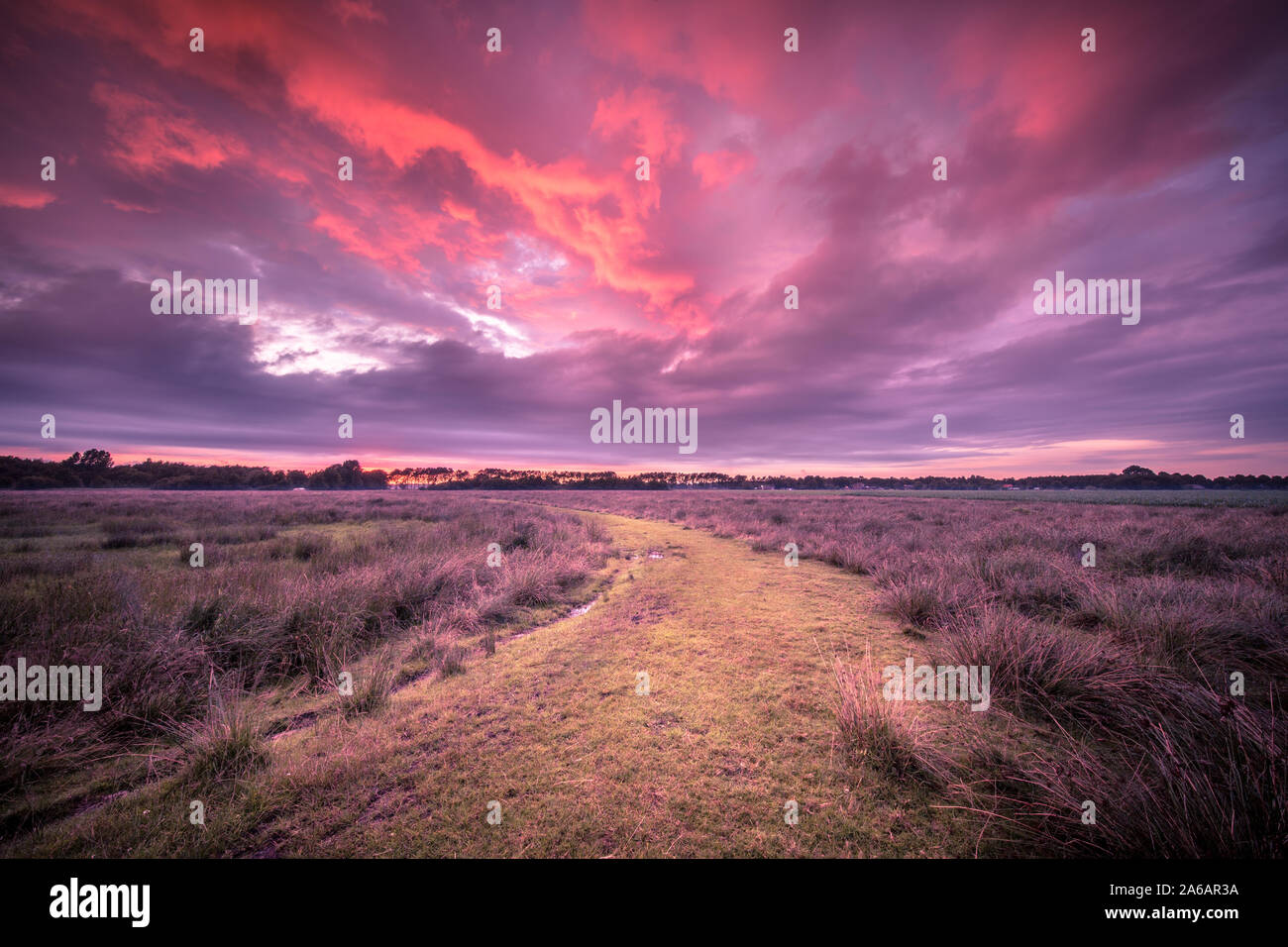 Spiritual voyage concept Rural Path through nature reserve under amazing sky  during Sunset, trail leading to Enlightment in vintage colors Stock Photo