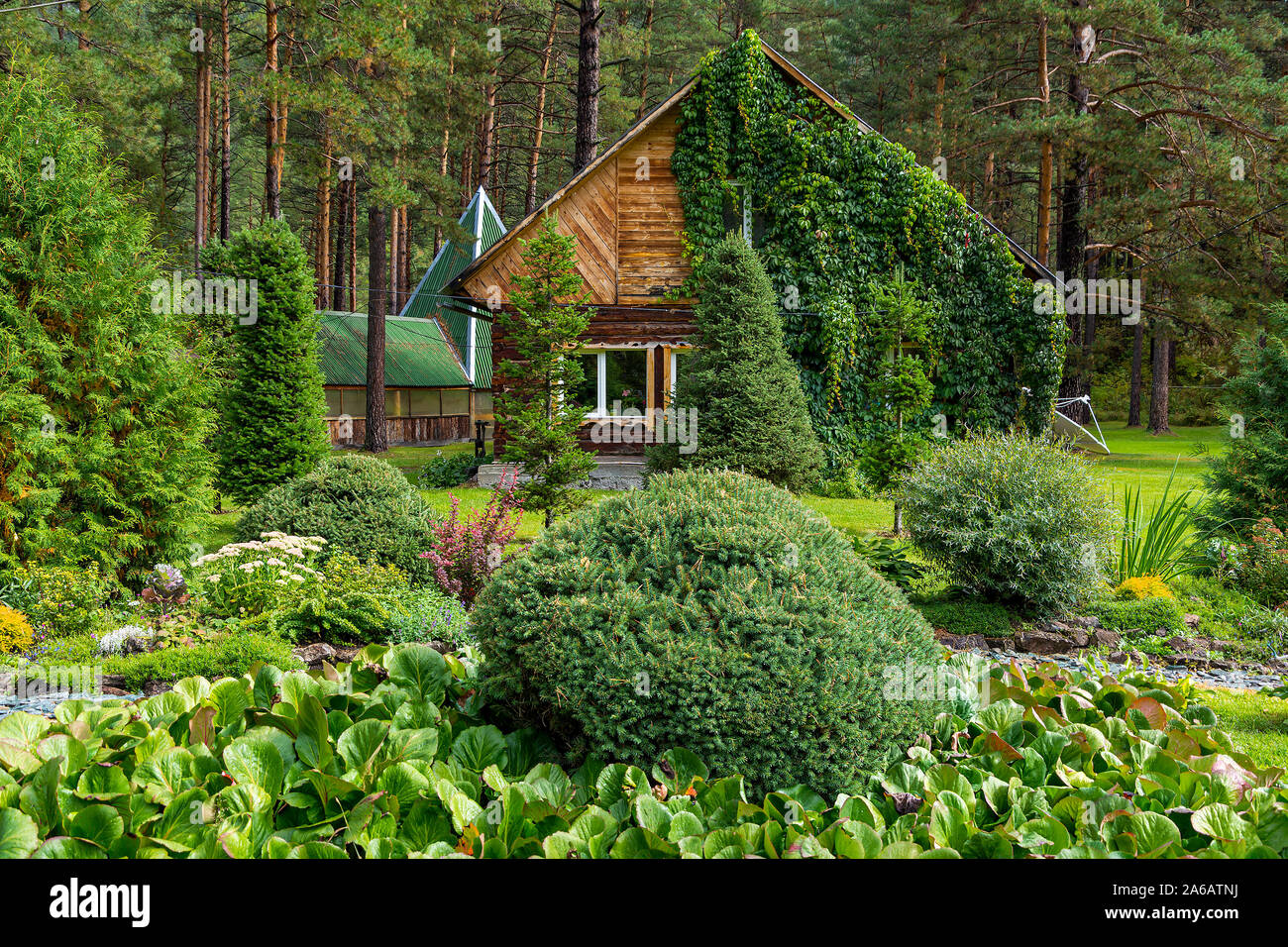 House in a beautiful garden near the forest, in early autumn Stock ...