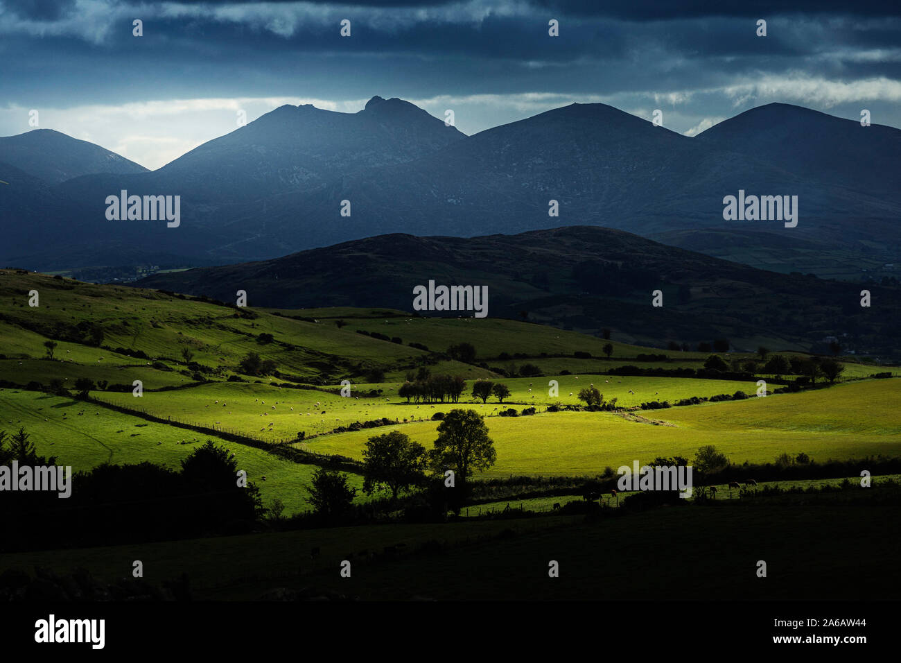 Farmland and Mourne Mountains, Co. Down, Northern Ireland Stock Photo