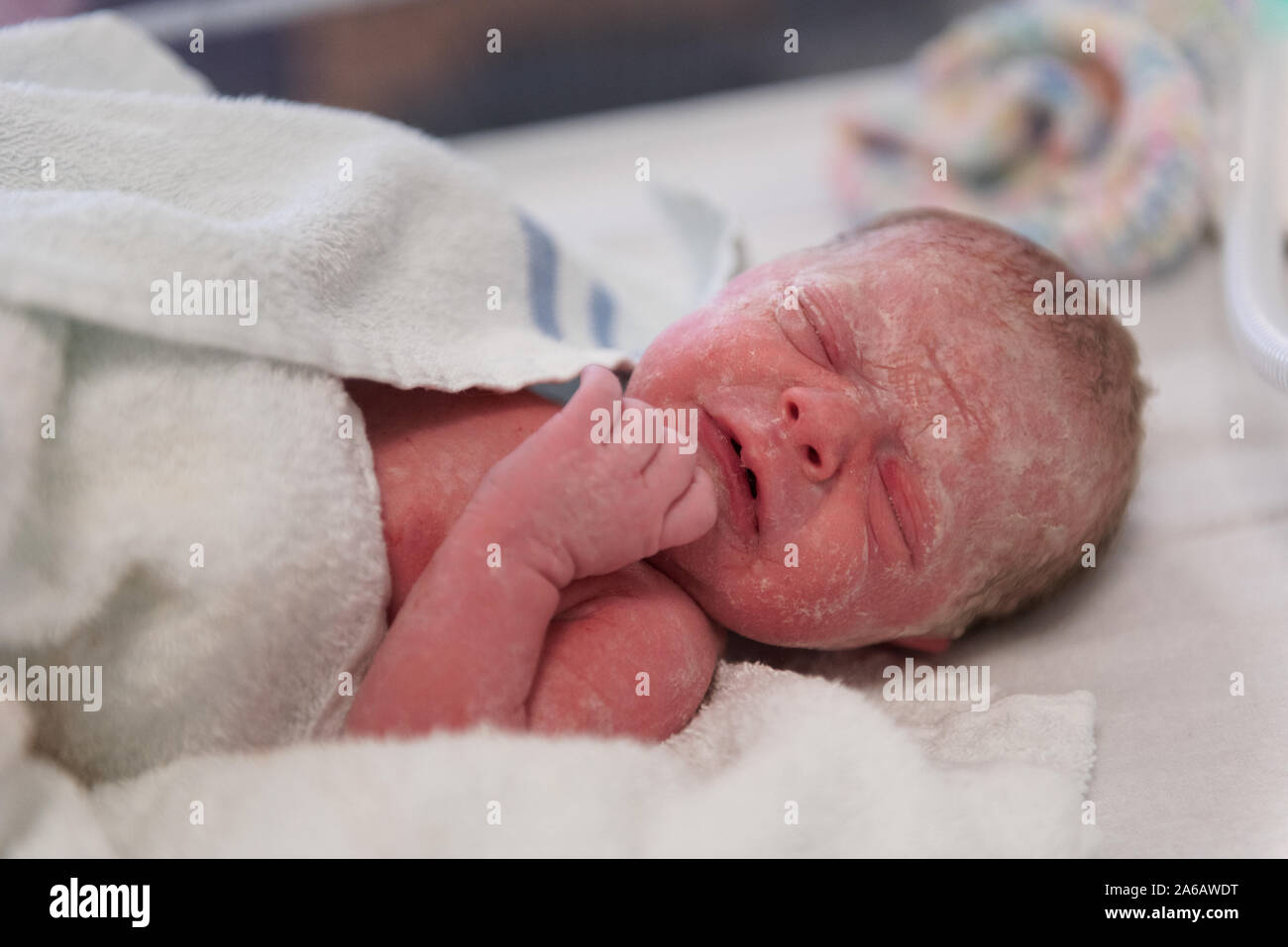 A young baby girl is born premature weighing just 4lbs, pictured here ...