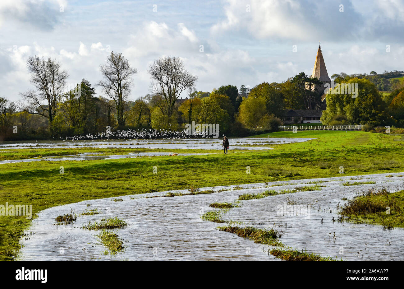 Alfriston Sussex, UK. 25th Oct, 2019. A dog walker passes by flooding along the River Cuckmere near Alfriston in East Sussex after weeks of heavy rain which has been above the average for the time of year. Yellow weather warnings have been issued for parts of the country where more heavy rain and flooding is forecast over the next 24 hours . The flooding along Cuckmere Haven has been worse in the last few years since the Environment Agency decided to stop maintaining defences. Credit: Simon Dack/Alamy Live News Stock Photo