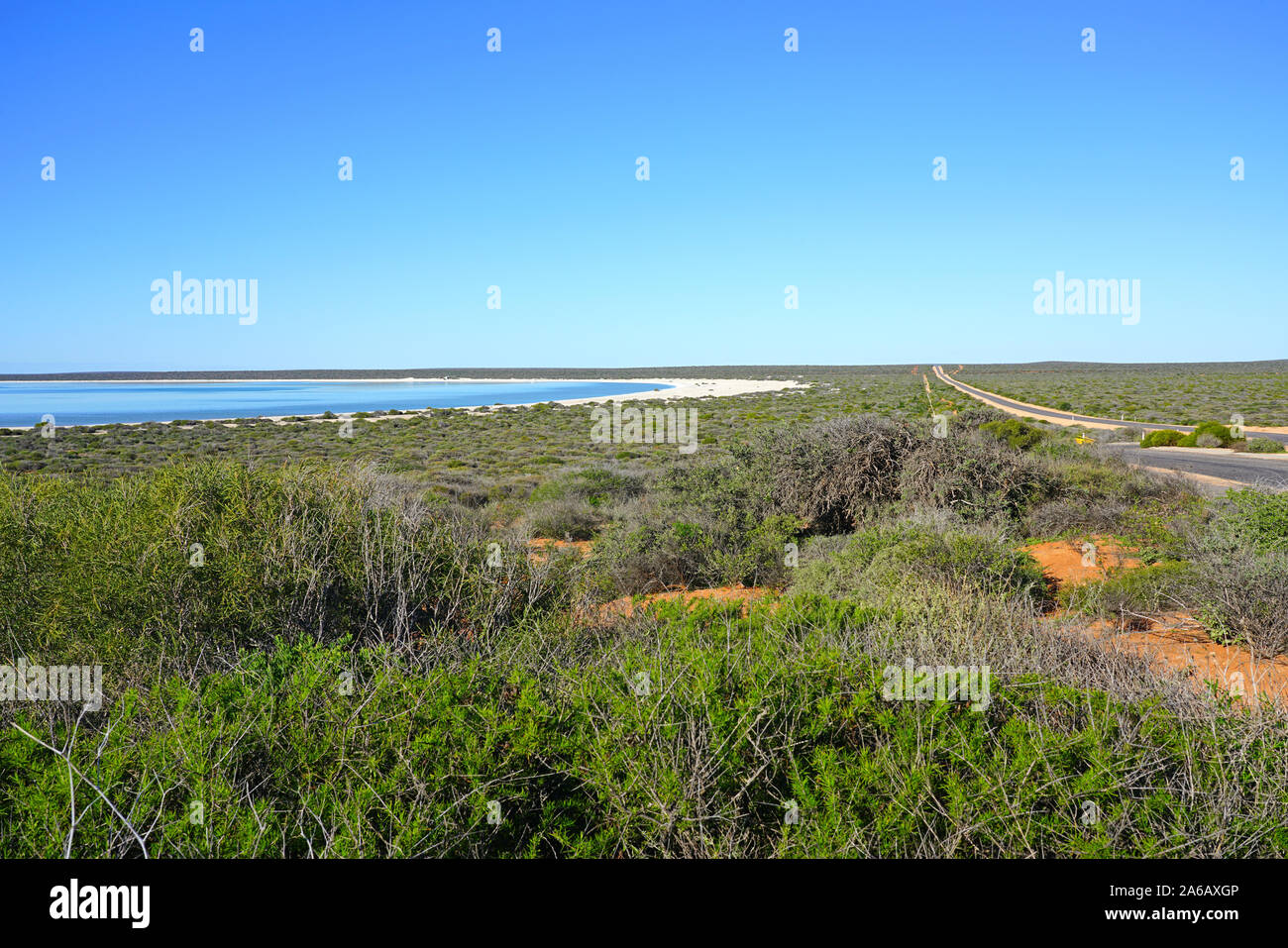 View of Shell Beach in Shark Bay, World Heritage area, Western Australia Stock Photo