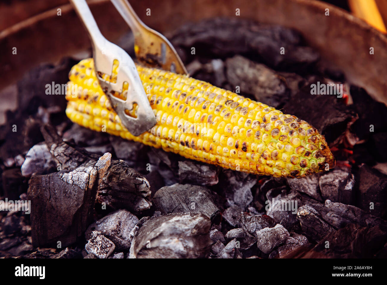 Yellow corn roasted on fire from black carbons Stock Photo Alamy