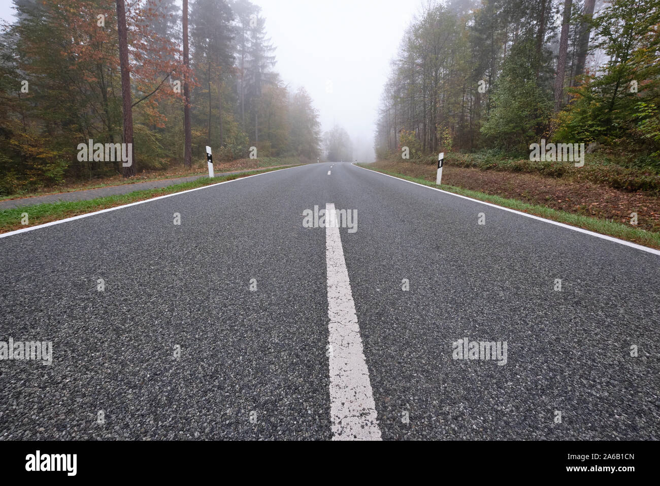 Diminishing perspective of a lonesome empty countryside road with delineators and a bicycle path along leading through a forest with dense fog. Seen i Stock Photo