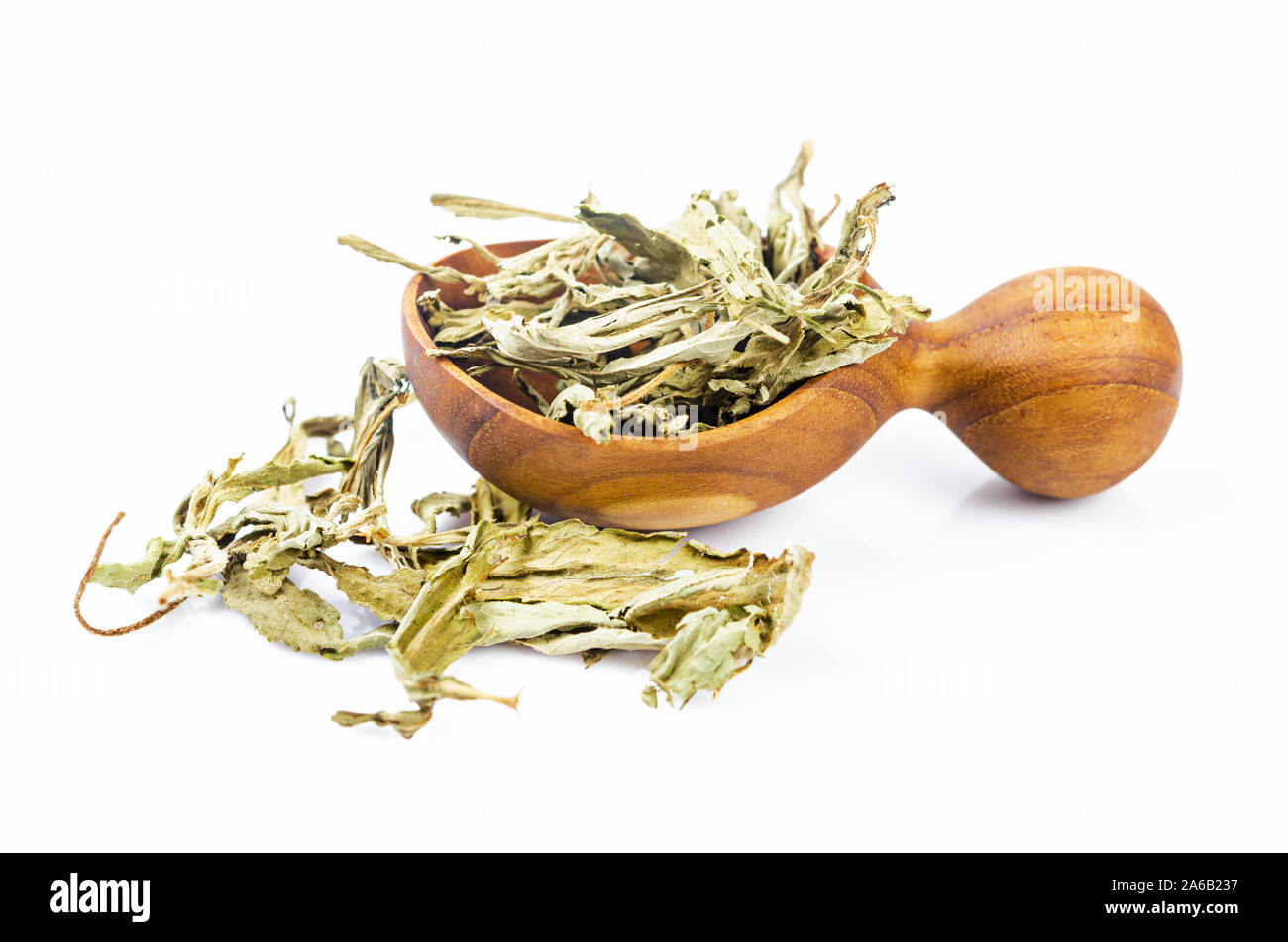 Dried Stevia rebaudiana Bertoni, sweet leaf sugar substitute in wooden