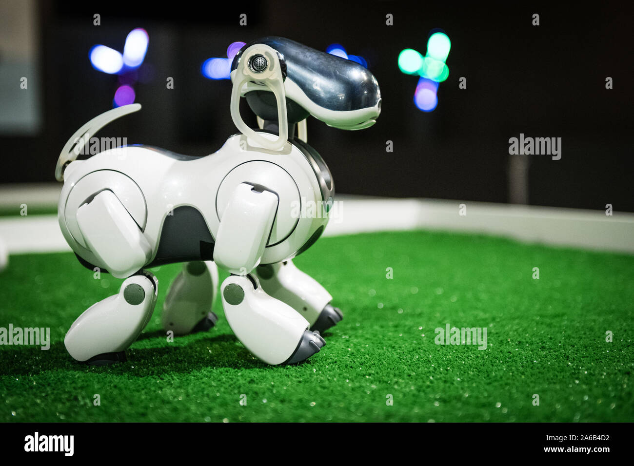 BRATISLAVA, SLOVAKIA - OCT 25, 2019: Robot dog AIBO demonstrates its skills at the mall in Bratislava, Slovakia Stock Photo