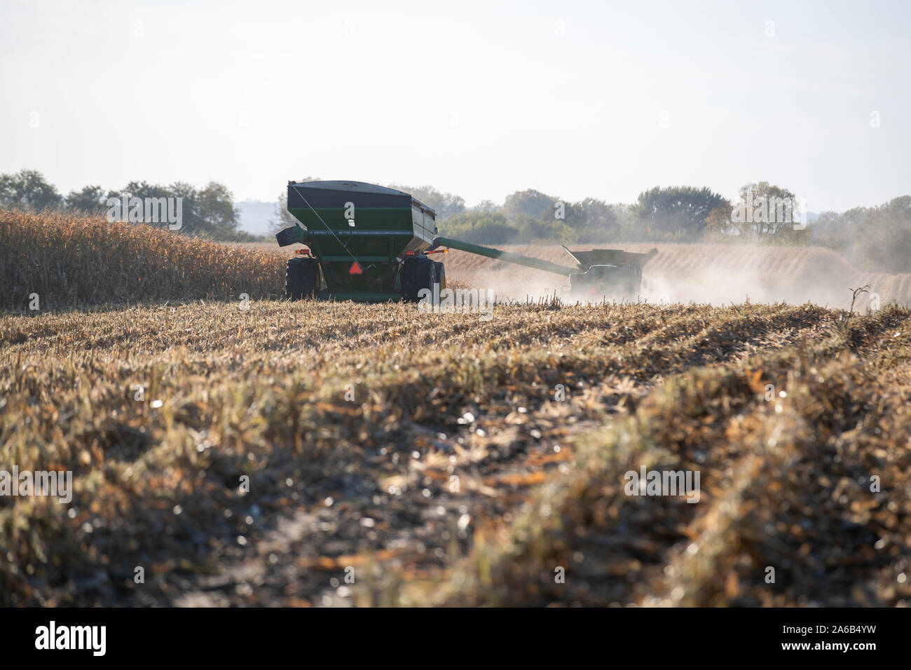 Iowa, U.S. state of Iowa. 17th Oct, 2019. Agricultural machinery works in a field of Grant Kimberley's family farm in Maxwell, the U.S. state of Iowa, Oct. 17, 2019. TO GO WITH 'Interview: U.S. soybean farmers optimistic about normalized trade with China, says industry leader' Credit: Wang Ying/Xinhua/Alamy Live News Stock Photo