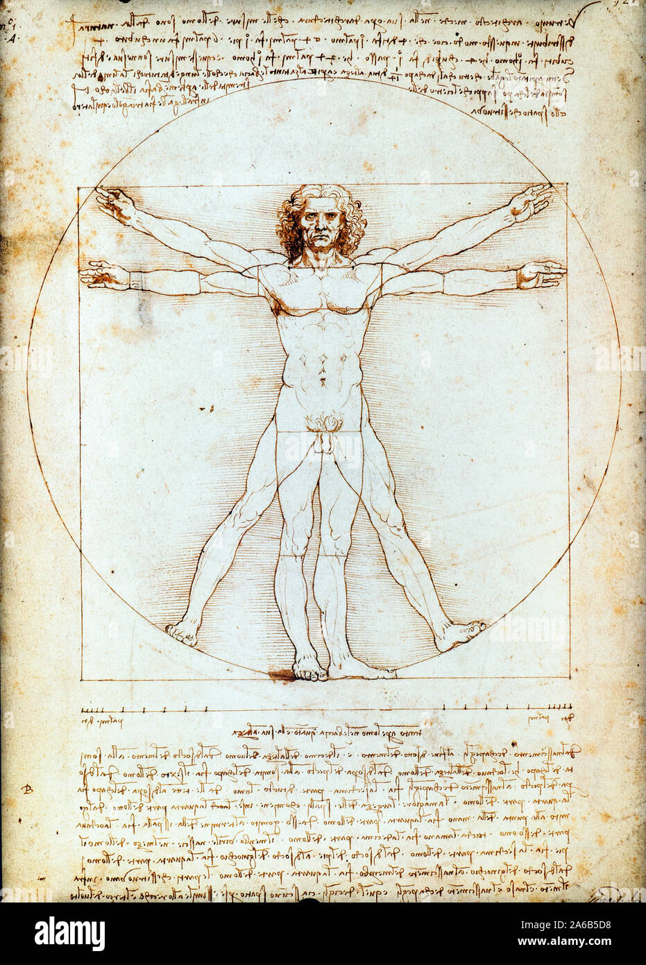 Uomo di Vitruvio (Vitruvian Man) by Leonardo da Vinci (1452-1519) 1490 Pen and ink on paper, cm 34x24 Stock Photo