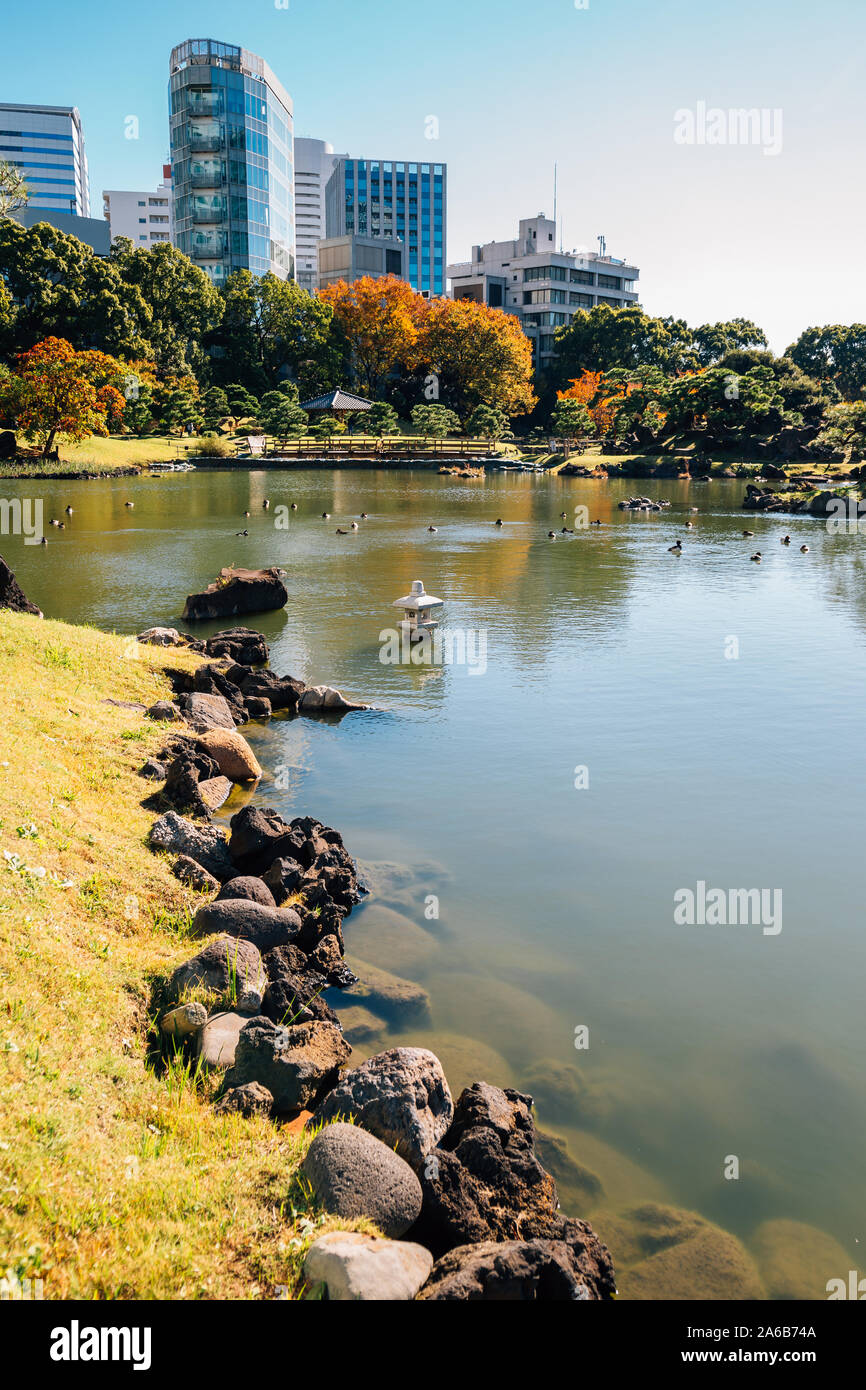 Japanese Traditional Garden Kyu Shiba Rikyu Garden At Autumn In