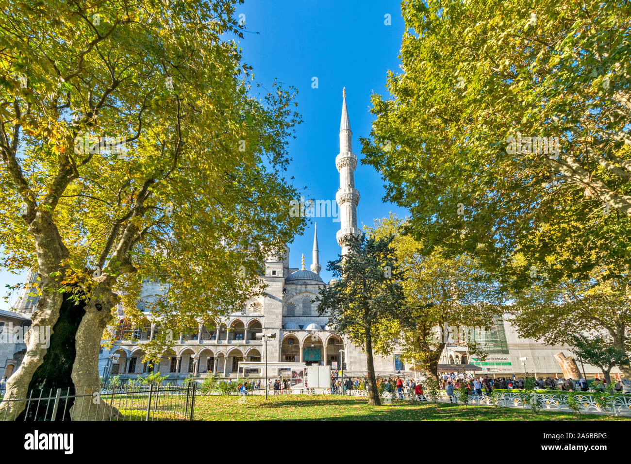 ISTANBUL TURKEY SULTAN AHMED OR BLUE MOSQUE THE GARDENS A HOLLOW TREE ...