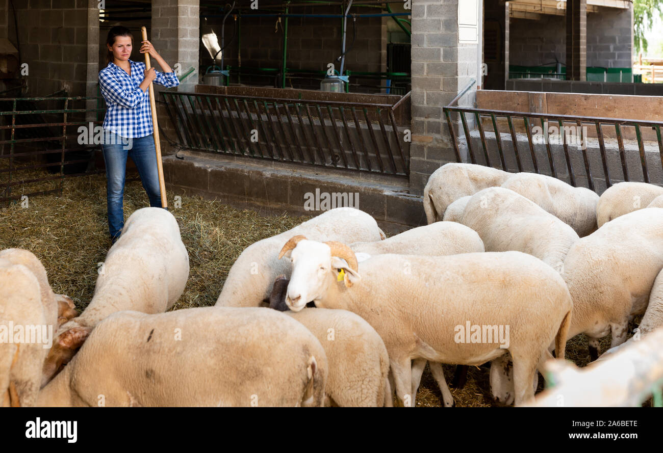 Portrait farmer holding rake hi-res stock photography and images - Alamy