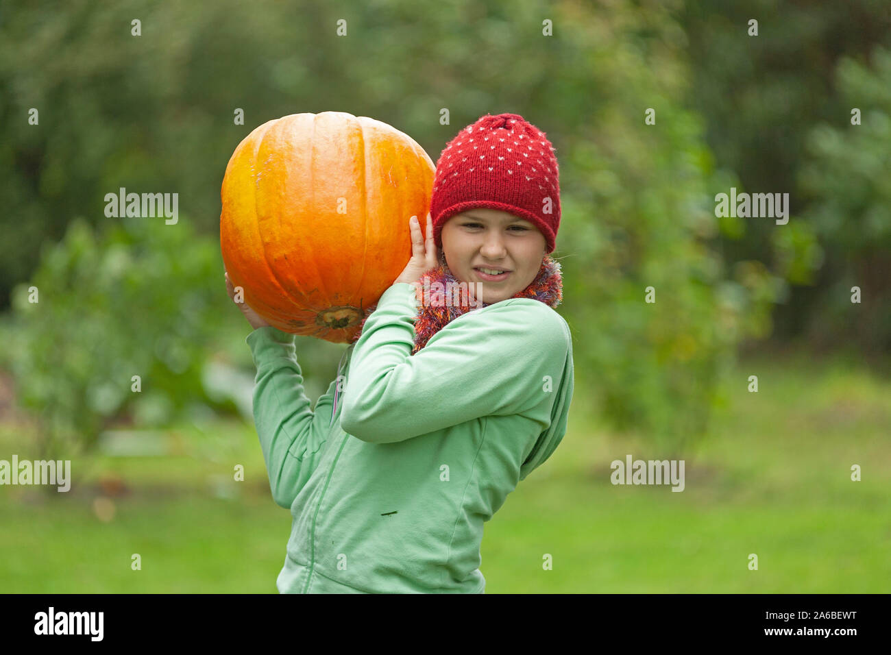 a young girl carrying a very big pumpkin Stock Photo Alamy