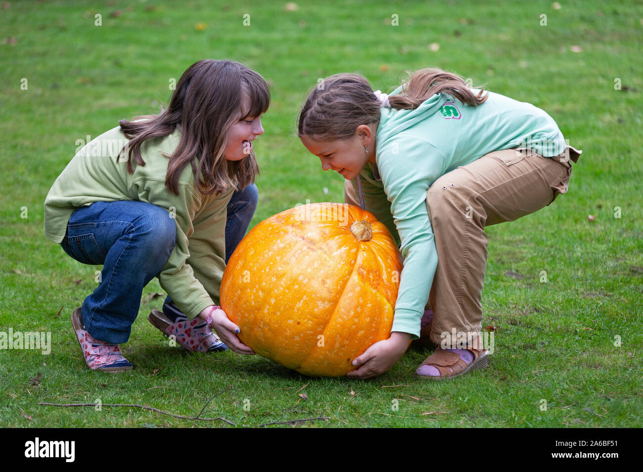 two little girls are trying to lift a very big pumpkin Stock Photo - Alamy