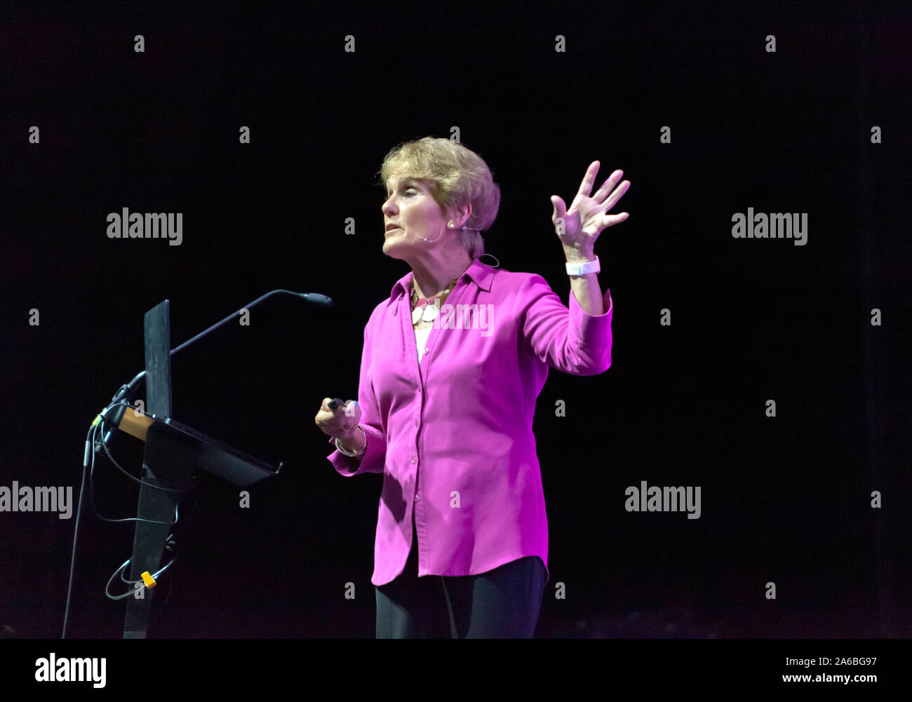 Gina Rippon, Professor Emeritus of Cognitive Neuroimaging, Aston Brain Centre,  talking about 'The myth of male and female brains', on the Humans Stage, at New Scientist Live 2019 Stock Photo