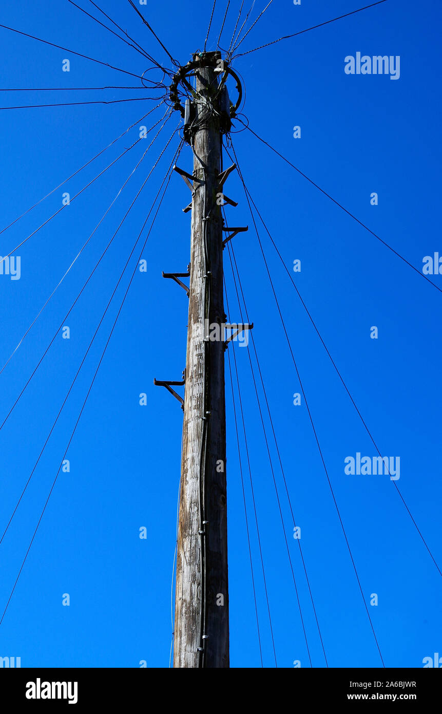 A wooden telegraph pole distributing wires to a dozen or more houses in an upper middle class street much as it did 100 years ago. Stock Photo