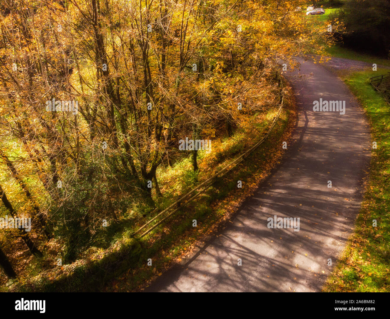Autumnal views from the ground and aerial of Golden Leaves along a walking path and a bending road over bridge in the mountains Stock Photo
