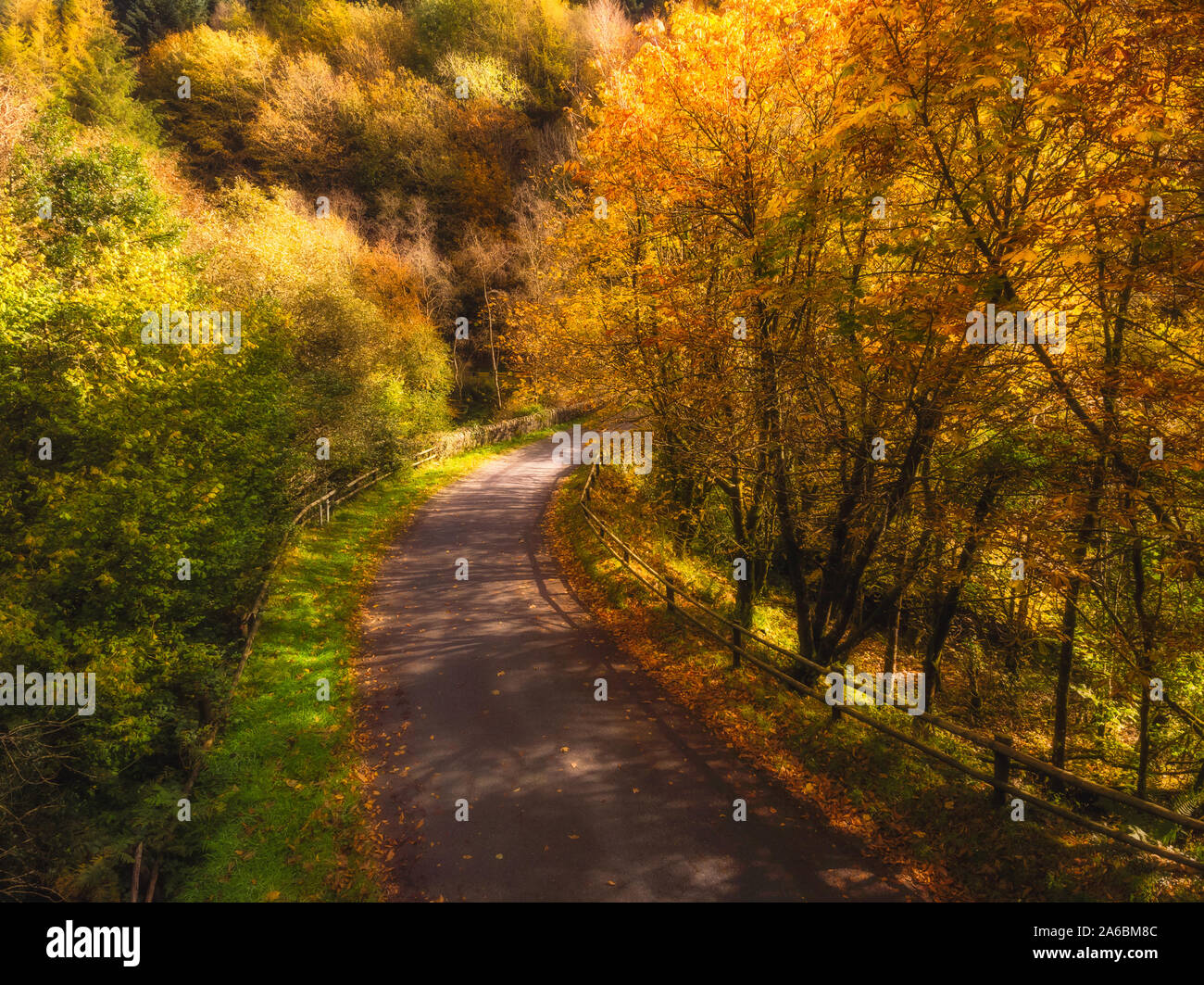 Autumnal views from the ground and aerial of Golden Leaves along a walking path and a bending road over bridge in the mountains Stock Photo